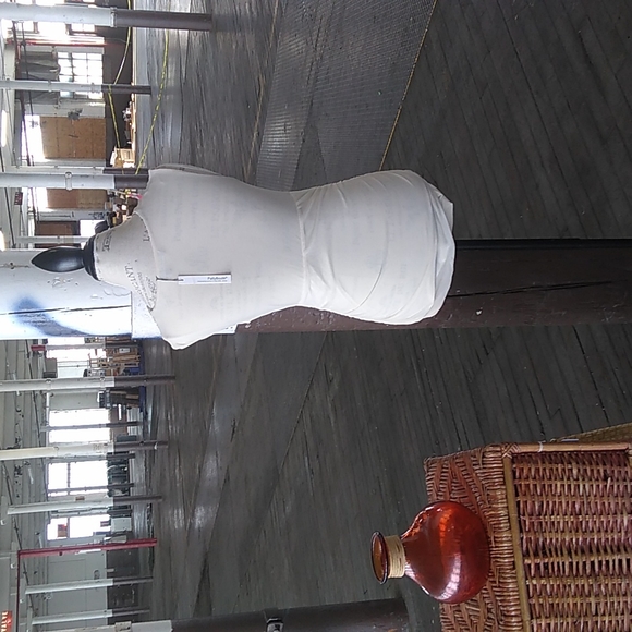 NWT Patty Boutik cream sleeveless blouse with Ruched sides (size medium) - Picture 2 of 3